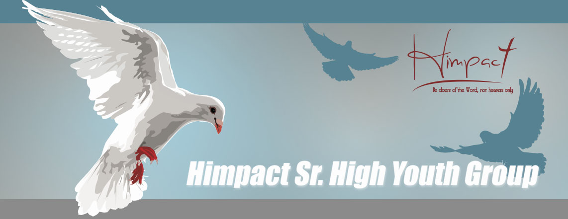 Banner Himpact.jpg